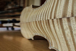 Proces obdelave lesa - Prvi del izdelave violine je dolgoletni proces izdelave lesa ter izboljšave njegovih lasnosti